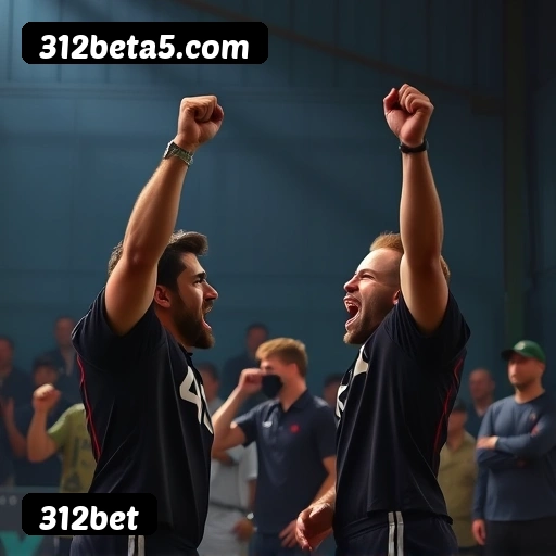 Logo da 312bet
