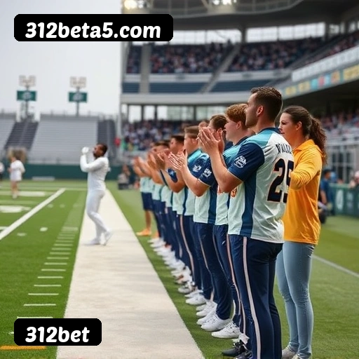 Tabela RTP verificado dos top 15 jogos mais populares 312bet - Gates of Olympus, Fortune Tiger, Aviator