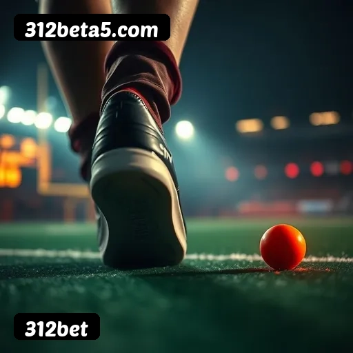 Certificações de segurança da 312bet