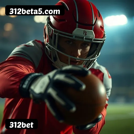 Suporte 24 horas 312bet