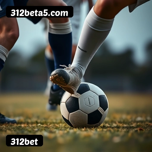 Níveis do programa VIP da 312bet